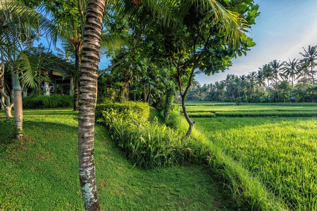 Villa Sabandari Ubud  Exterior photo